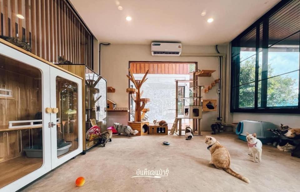 Apartament Amaze At Themyth Mae Rim Zewnętrze zdjęcie